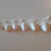 Agnello pasquale testa 9
