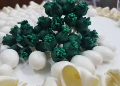 Bocciolo di tulipano