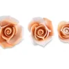 Bocciolo Rosa Arancio