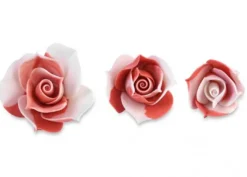 Bocciolo Rosa Rosso