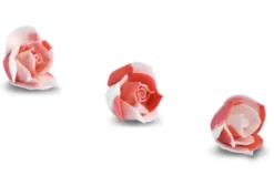 Bocciolo Rosa Rosso