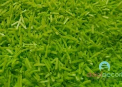 Codette wafer verde