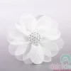 Cosmos bianco con bottone