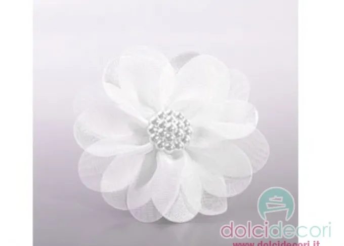 Cosmos bianco con bottone