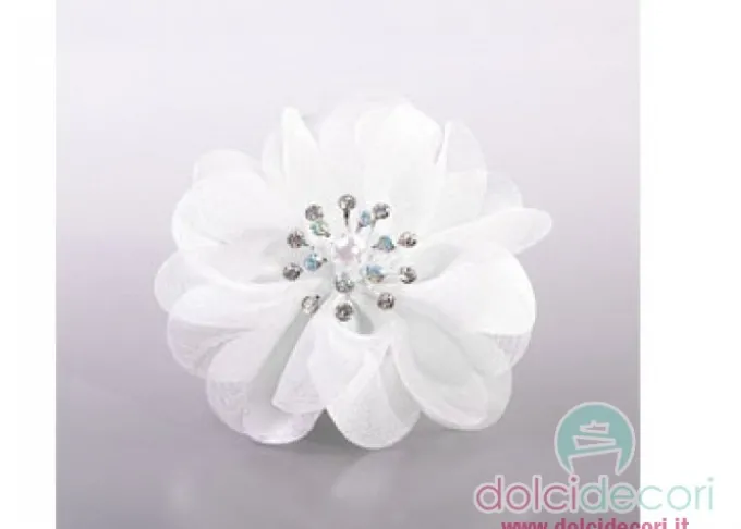 Cosmos bianco con stellina