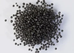 Cristalli di zucchero nero