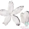 Decorazioni dolci: petal veiner orchidea