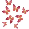 Farfalle cialda Rosa