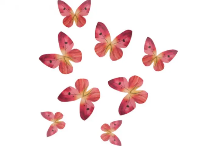 Farfalle cialda Rosa