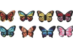 Farfalle colorate piccole