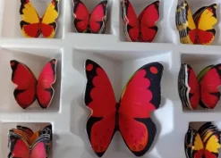 Farfalle Meravigliose