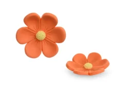 Fiore Anemone Pastello Arancio