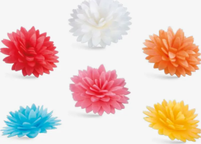 Fiore di Loto colorati