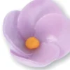 Fiore Fucsia lilla