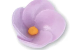 Fiore Fucsia lilla