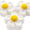 Fiore marshmallow bianco