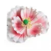 Fiore Peonia Rosa sfumata bianca