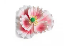 Fiore Peonia Rosa sfumata bianca