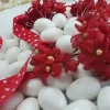 Fiori margheritine rosse