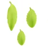 Foglie Lanceolate