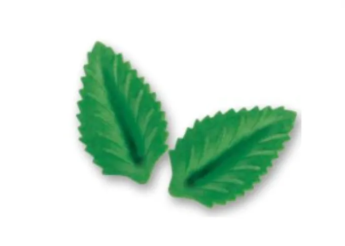 Foglie ostia verde