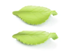 Foglie verde chiaro