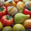Frutta martorana