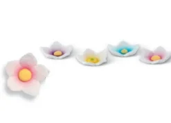 Genziana Fiori Pastello