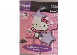 Kit Hello Kitty