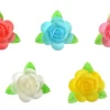 Magnolie colorate