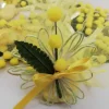 Mimosa con fiore