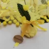 Mimosa Marshmallow