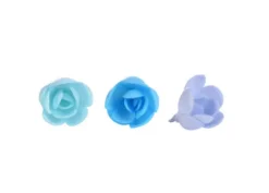 Mini Rose Azzurre