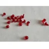 Occhi Crostaceo Gambero