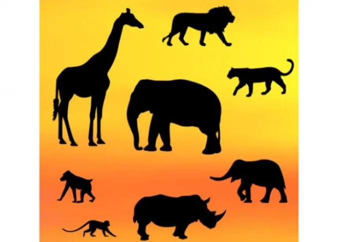 Patchwork Safari