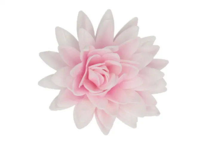 Peonia in cialda