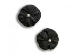 Petunia Nera