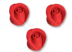 Piccola rosa rossa