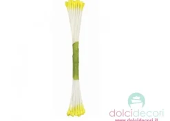 Pistilli fiori giallo