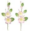 Ramo Cosmos