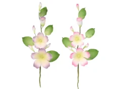 Ramo Cosmos