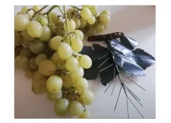 Ramo foglie Uva per frutta martorana