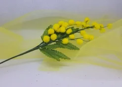 Ramo Mimosa per decorazioni