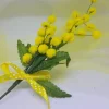 Ramo Mimosa per decorazioni con fiocco