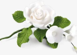 Ramo rose bianche