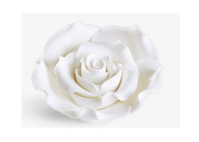 Rosa Grande Bianca