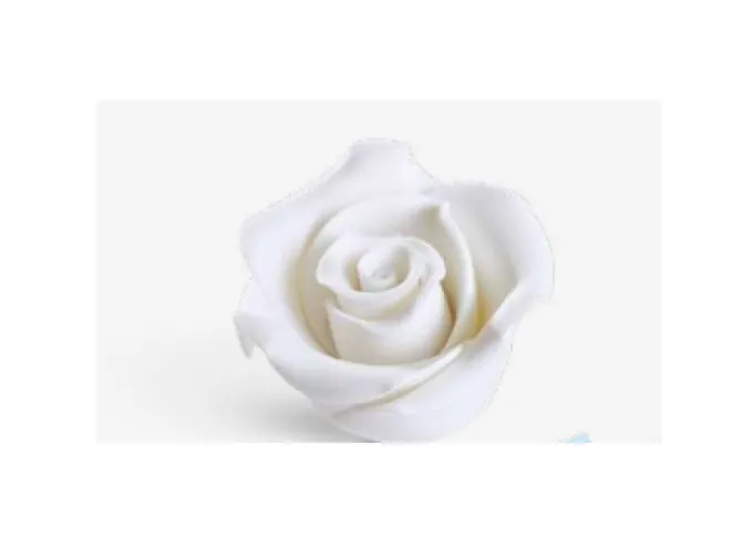 Rosa Media Bianca