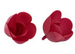 Rosa rossa media