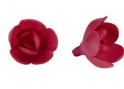 Rosa rossa piccola