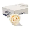 Rose Avorio Grande